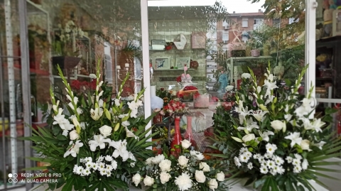 Centros para los Santos.